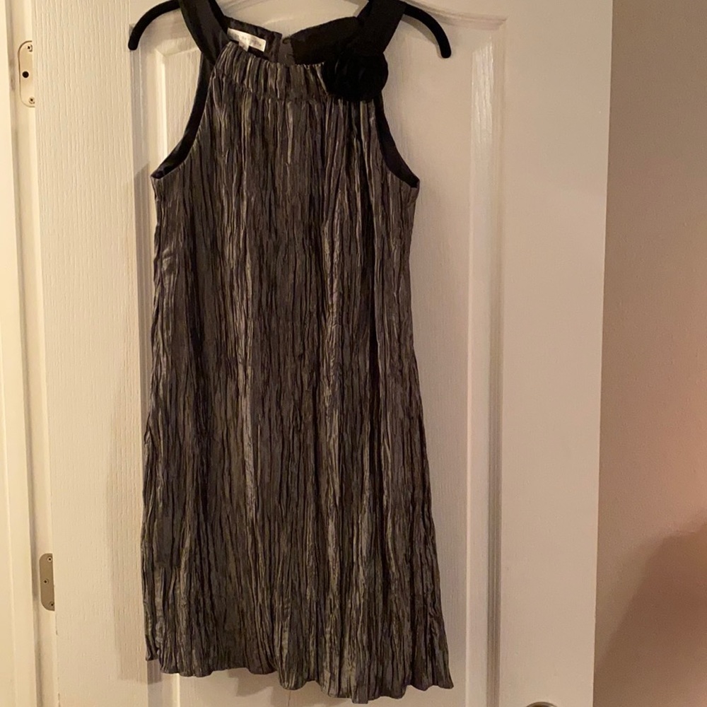 Evening Silver Dress
